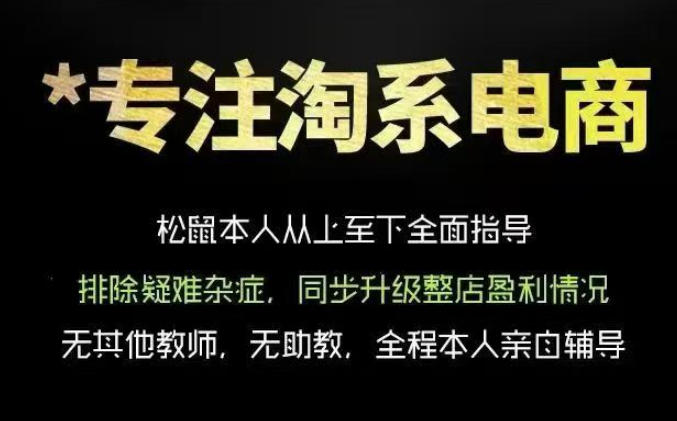 松鼠会电商VIP课程，从基础布局到高阶优化，助你掌握淘宝运营逻辑，提升店铺流量与转化(更新0711)-小创项目网